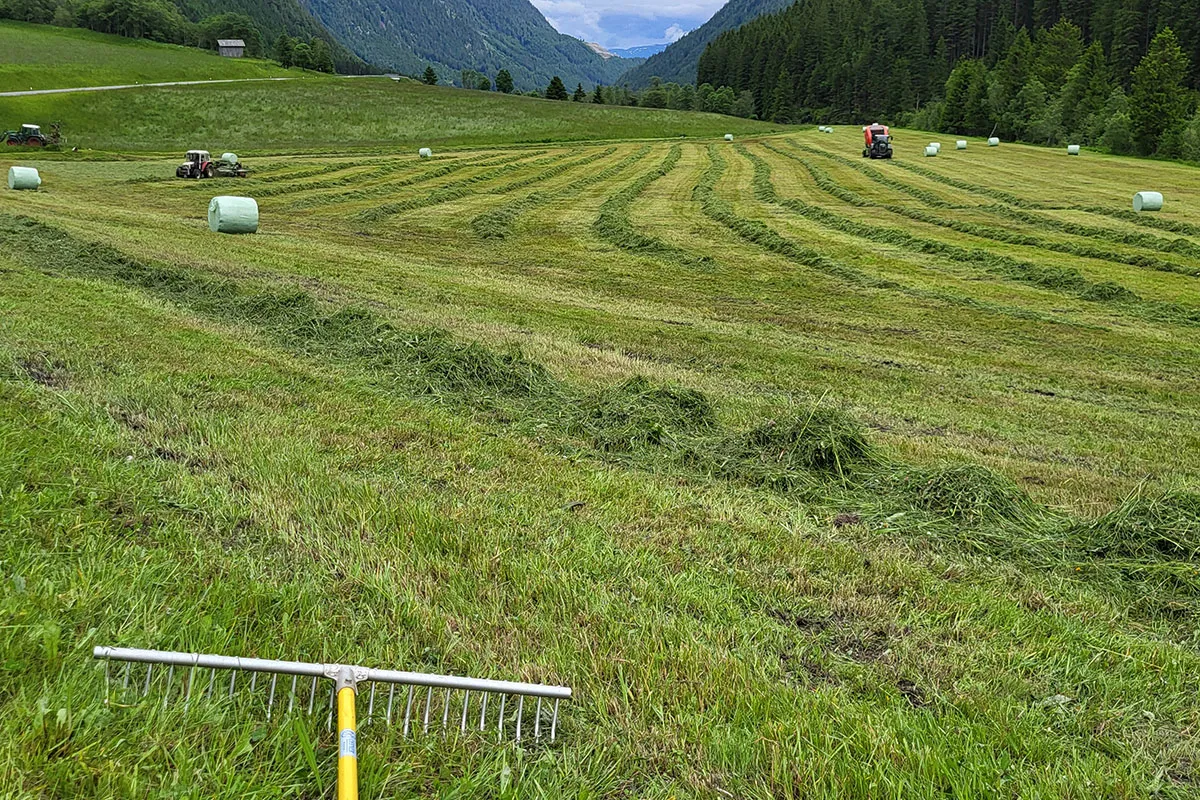 Heuernte am Biobauernhof Hansalagut - Mitmachen am Hof