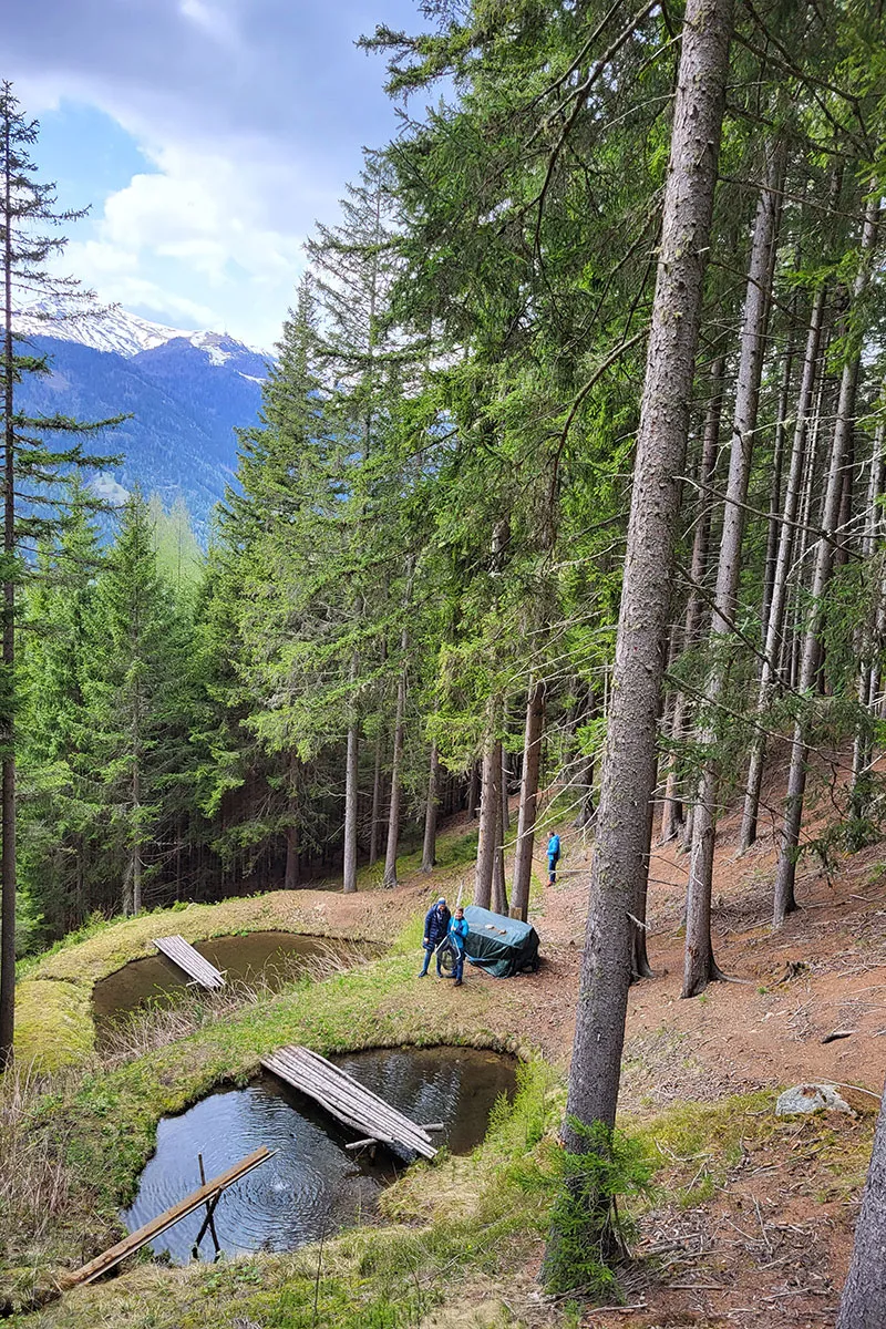 Fischteich zum Forellen angeln in der Nähe des Hansalagut Bauernhofs